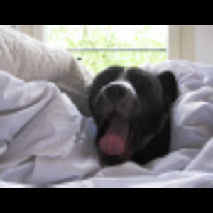 Meet your Posher, Scott